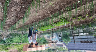 소소하게 사진1