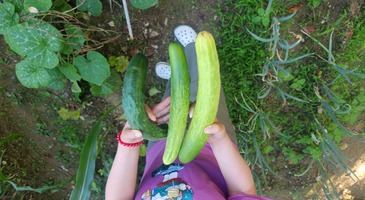 소소하게 사진3